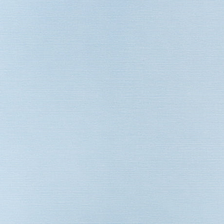Thibaut TALUK SISAL T34036 in Sky Blue Wallpaper - TEXTURE R