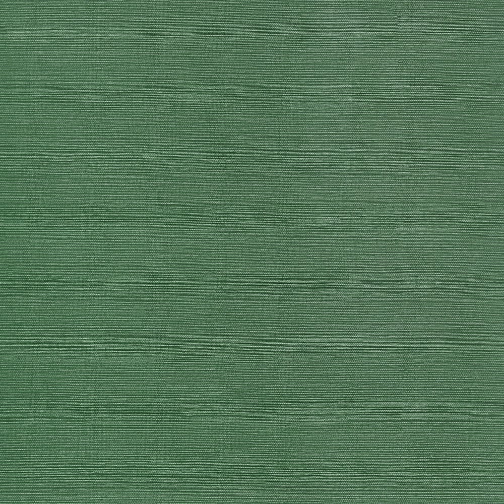 Thibaut TALUK SISAL T34039 in Forest Green Wallpaper - TEXTU