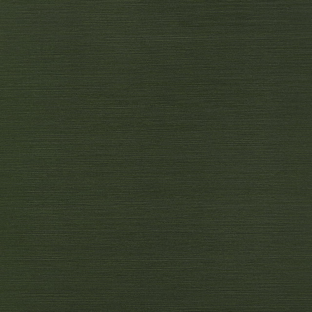 Thibaut TALUK SISAL T34044 in Olive Wallpaper - TEXTURE RESO