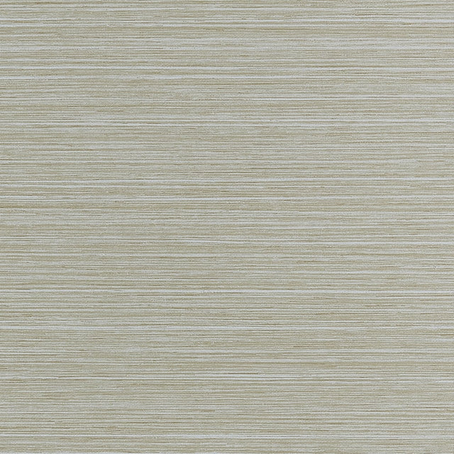 Thibaut TENAYA T34068 in Fog Wallpaper - TEXTURE RESOURCE 9