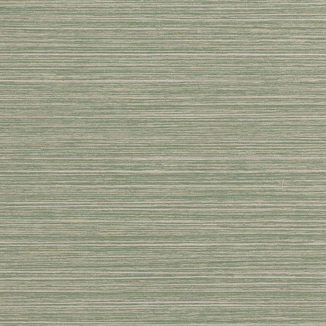 Thibaut TENAYA T34069 in Sage Wallpaper - TEXTURE RESOURCE 9