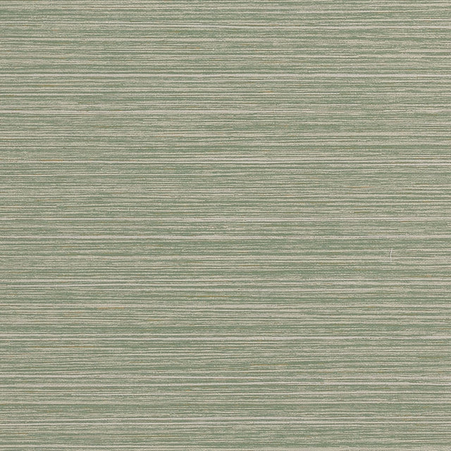 Thibaut TENAYA T34069 in Sage Wallpaper - TEXTURE RESOURCE 9