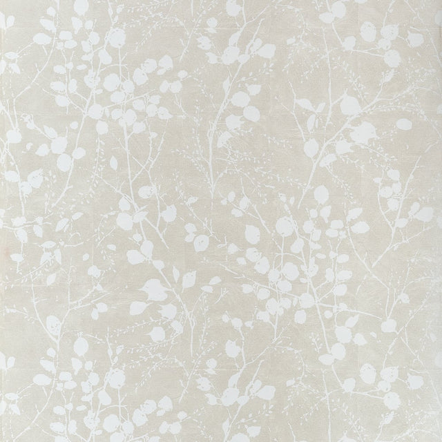 Thibaut KATAMARI BUD T34096 in Pearl and White Wallpaper - T
