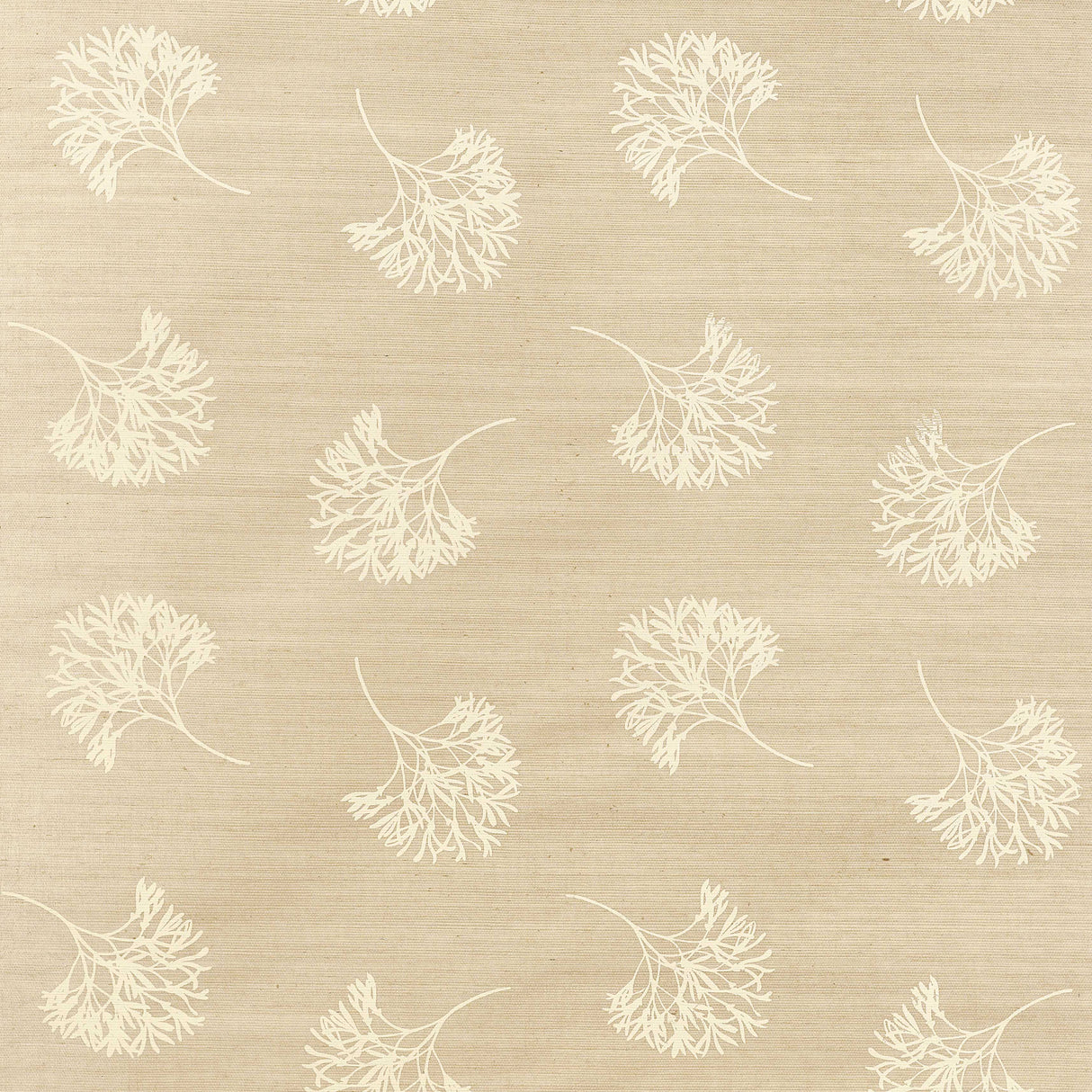 Thibaut T3624 ANDROS Cream on Beige Wallpaper