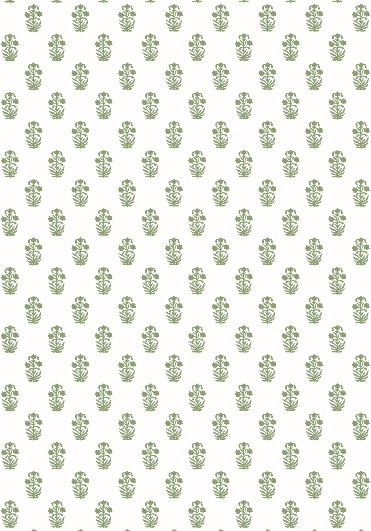 Thibaut T36402 CORWIN Green on White Wallpaper