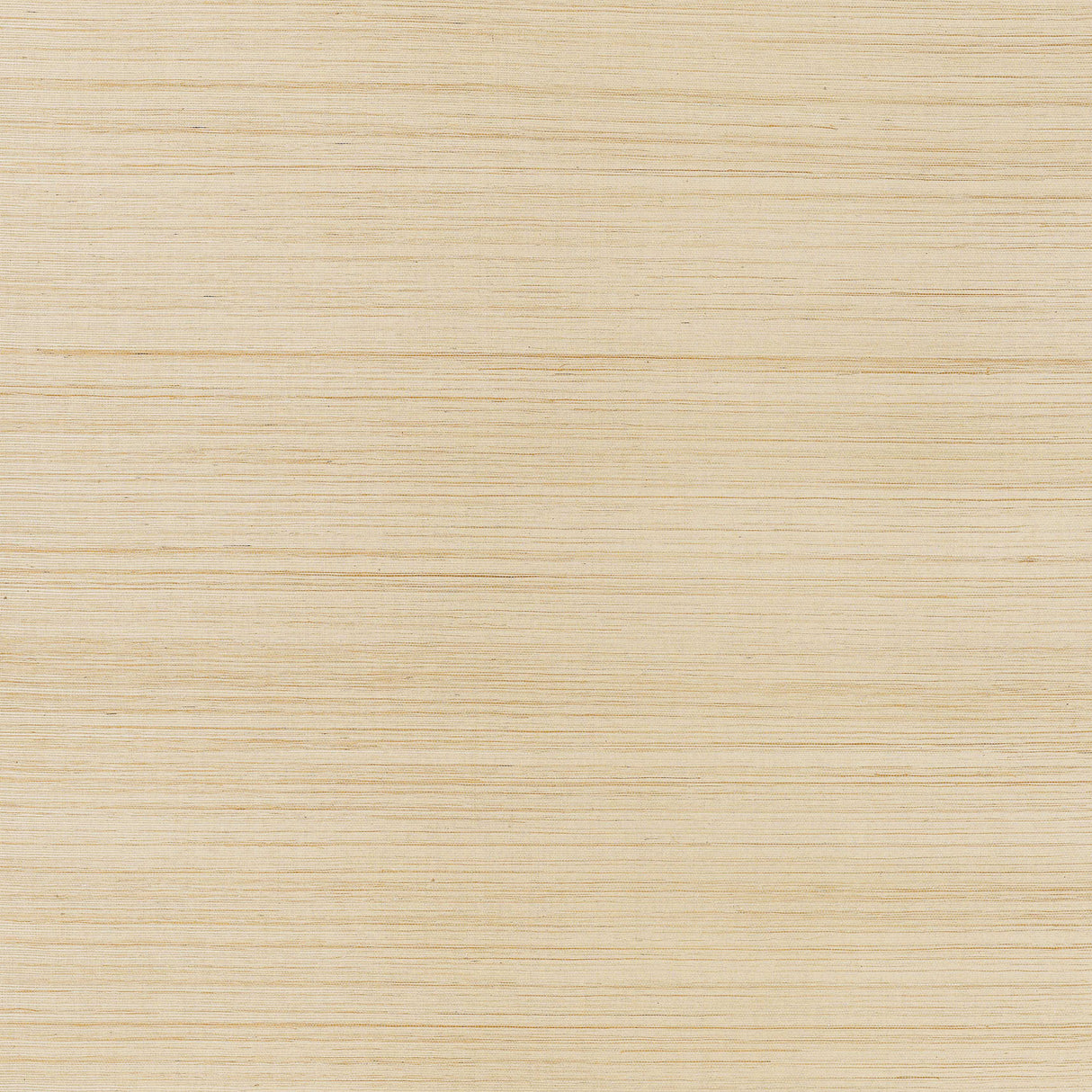 Thibaut T3664 WINDWARD SISAL Straw Wallpaper