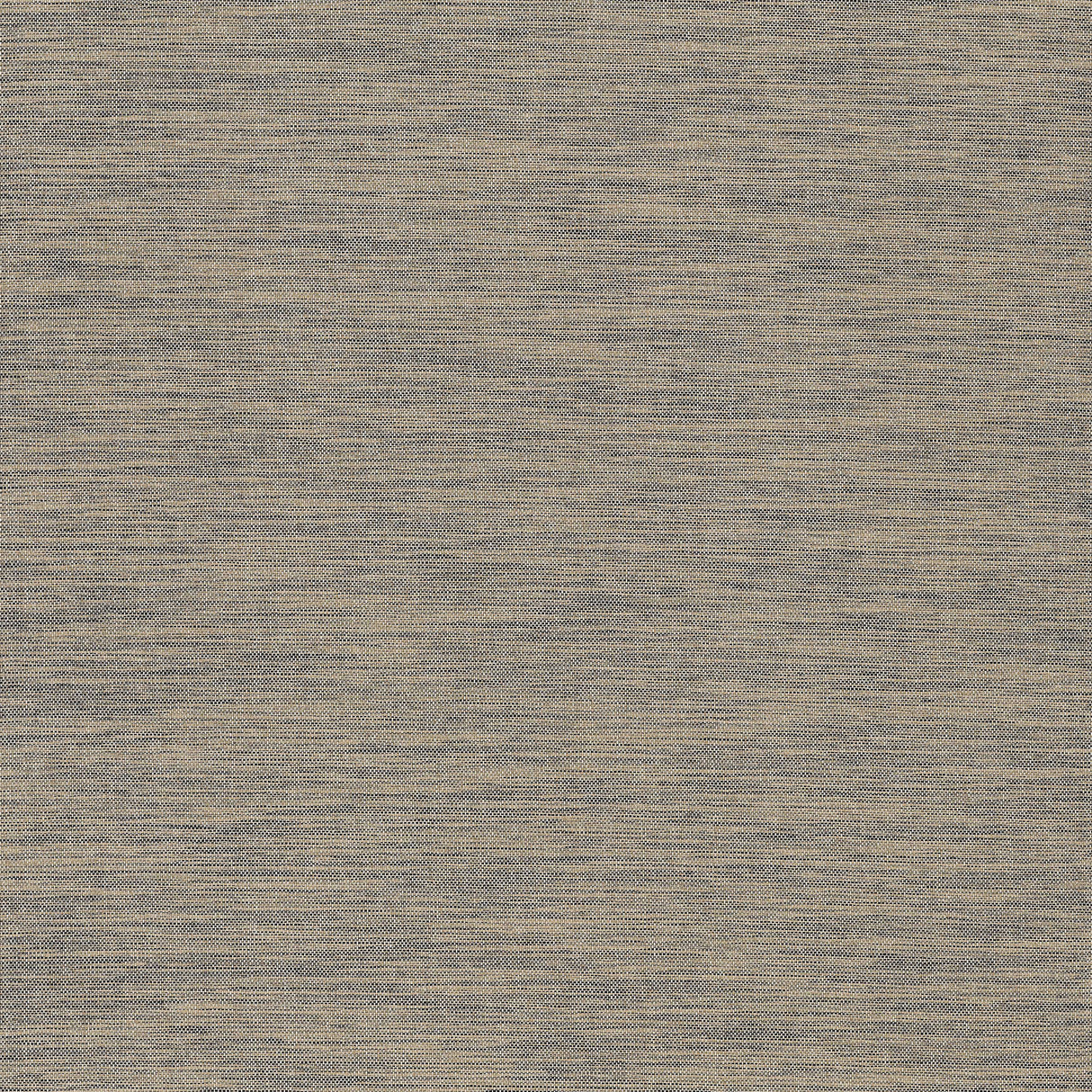 Thibaut T3676 SARDINIA Black and Grey Wallpaper