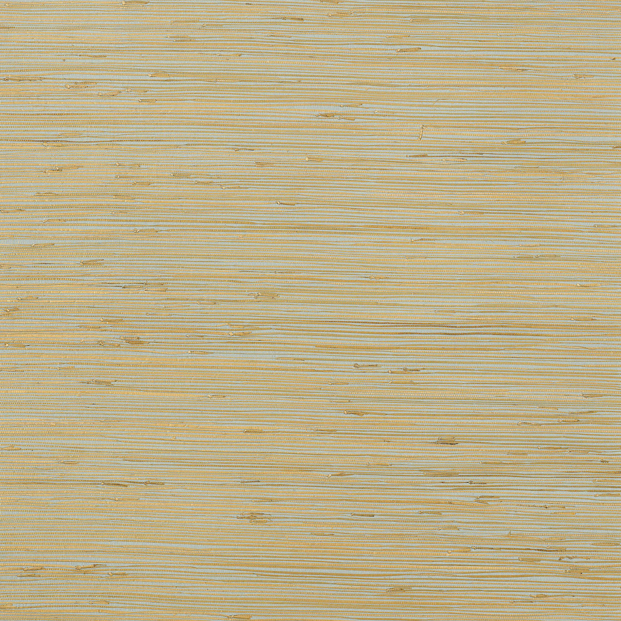 Thibaut T3693 RUSH CLOTH Aqua Wallpaper