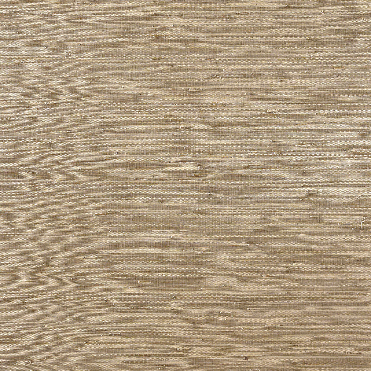 Thibaut T3696 RUSH CLOTH Pewter Wallpaper