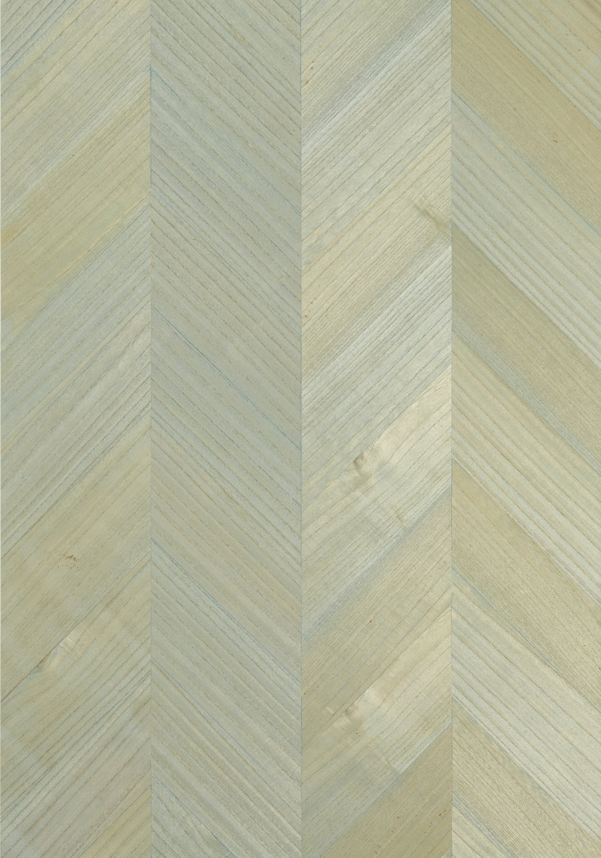 Thibaut T4022 INYO WOOD Robin's Egg Wallpaper