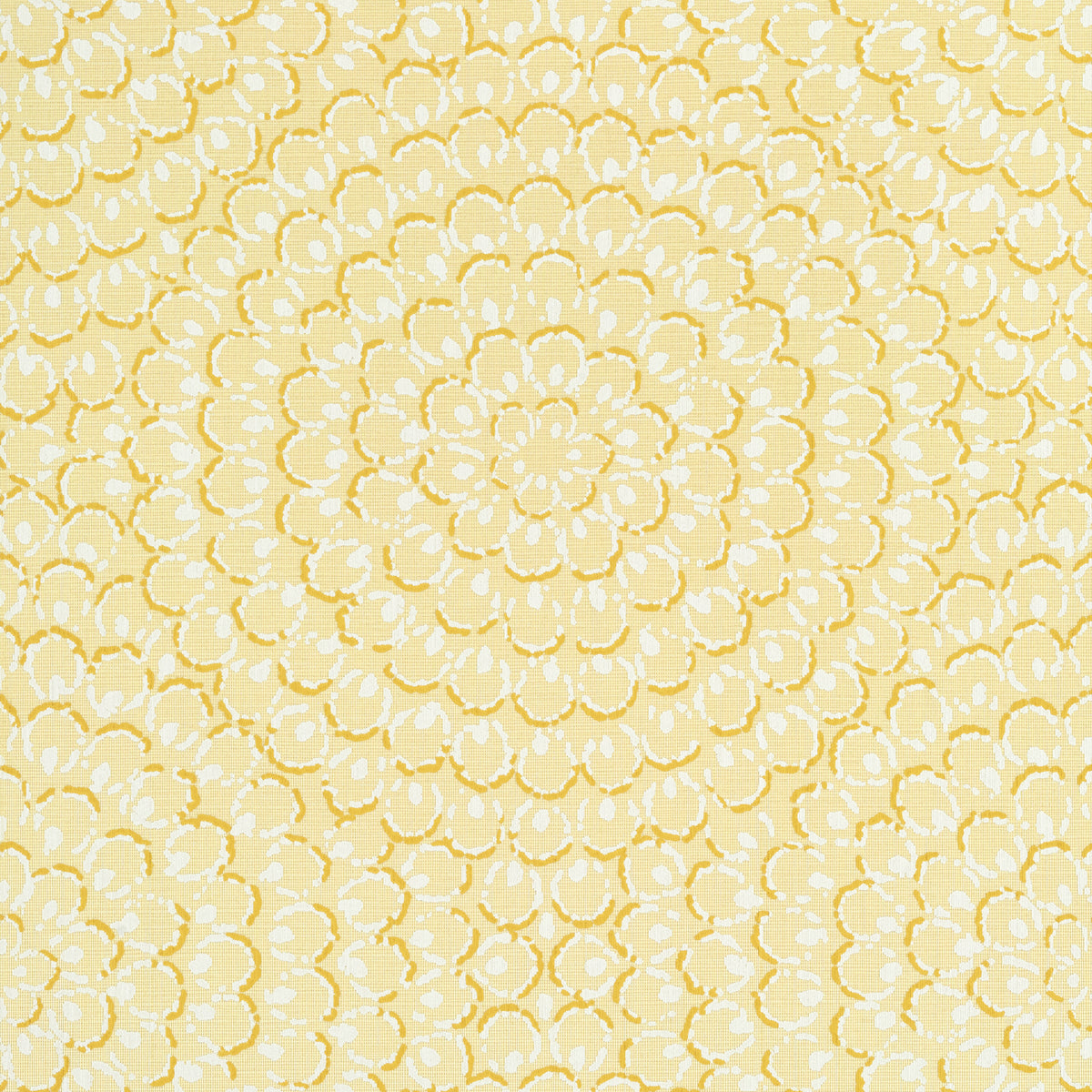 Thibaut T4032 ASTER Yellow Wallpaper - Eade's – Eades Wallpaper & Fabrics