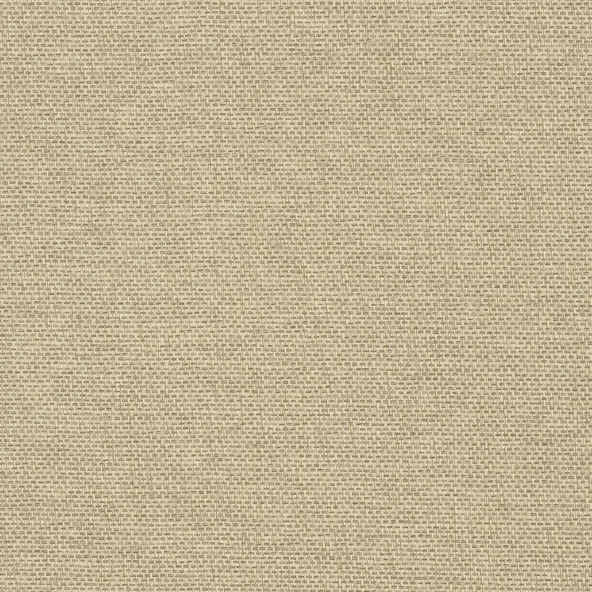Thibaut T41128 ADRIATIC Flax Wallpaper