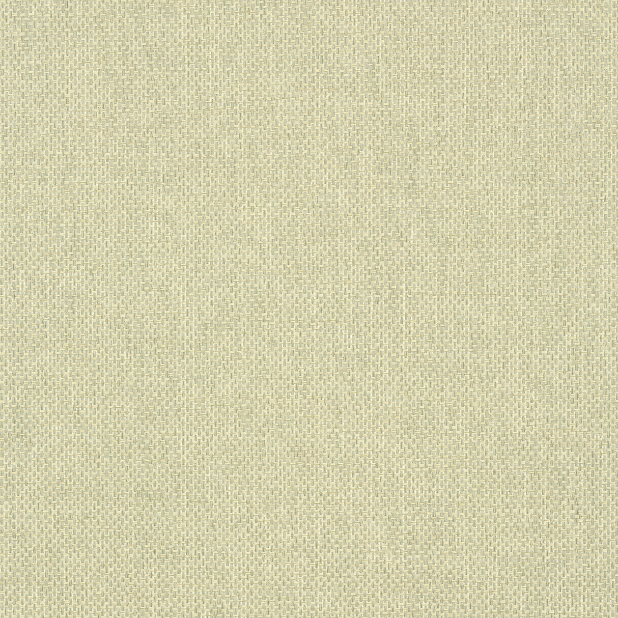 Thibaut T41134 ADRIATIC Sage Wallpaper