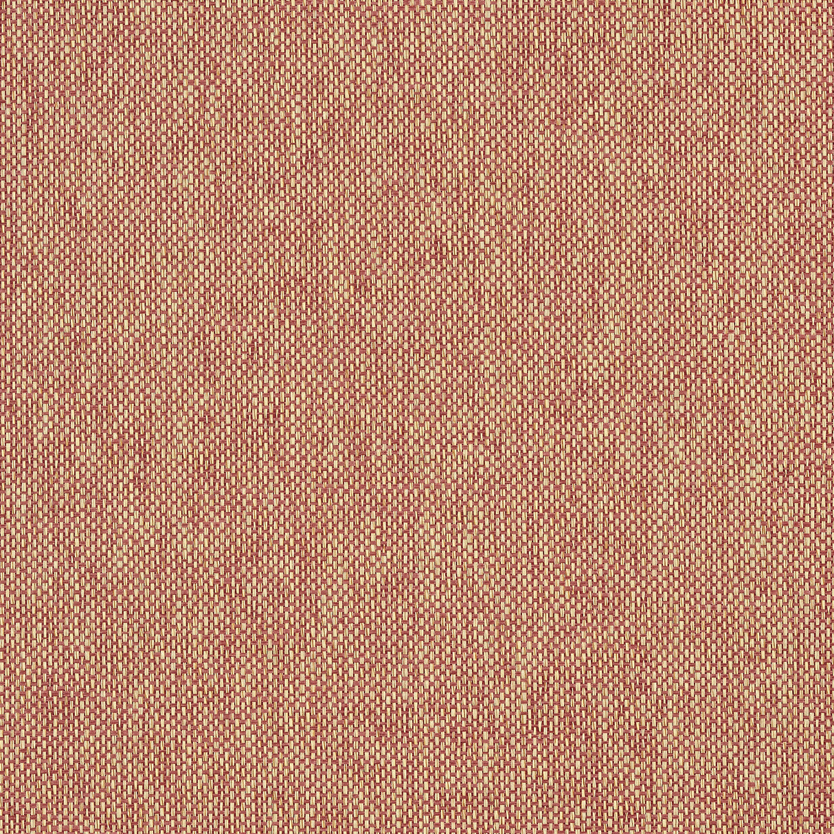 Thibaut T41139 ADRIATIC Cranberry Wallpaper