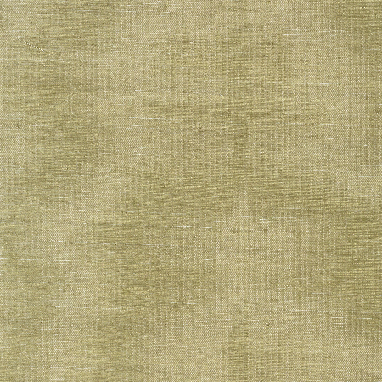 Thibaut T41166 SHANG EXTRA FINE SISAL Moss Wallpaper