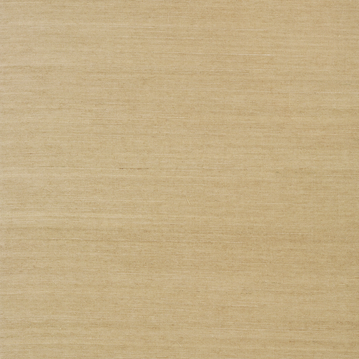 Thibaut T41173 SHANG EXTRA FINE SISAL Doe Wallpaper