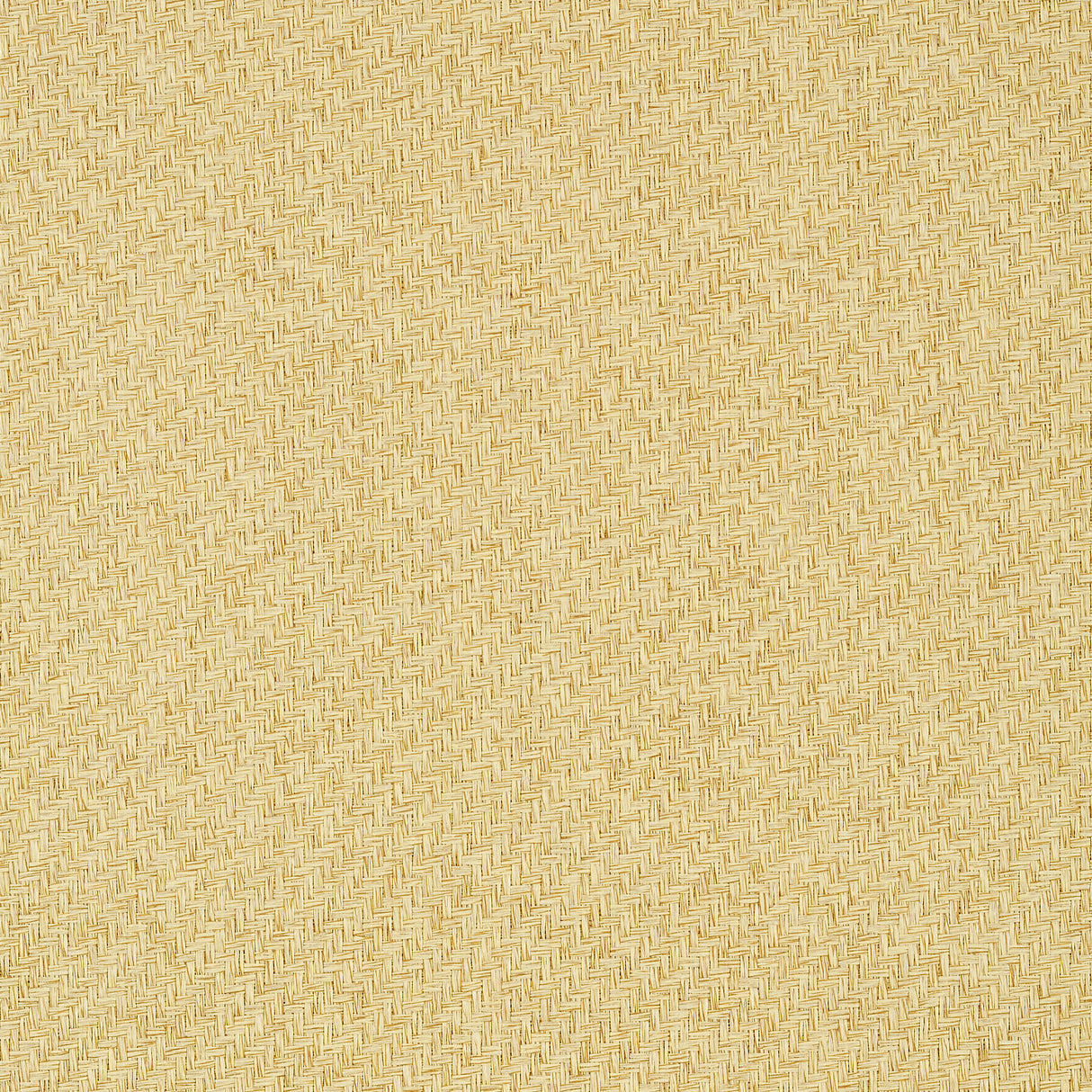 Thibaut T41189 SANTA FE Beige Wallpaper