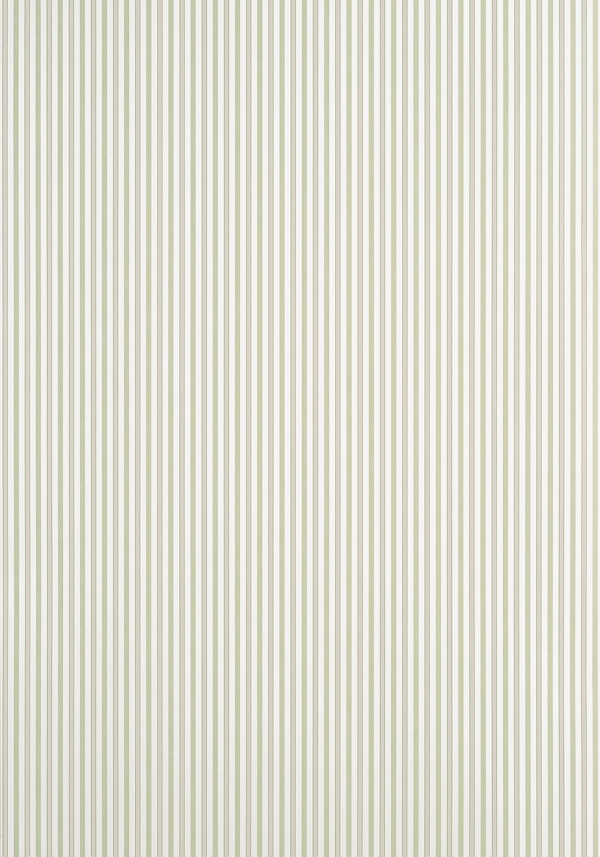 Thibaut T44066 CONNER STRIPE Green and Beige Wallpaper