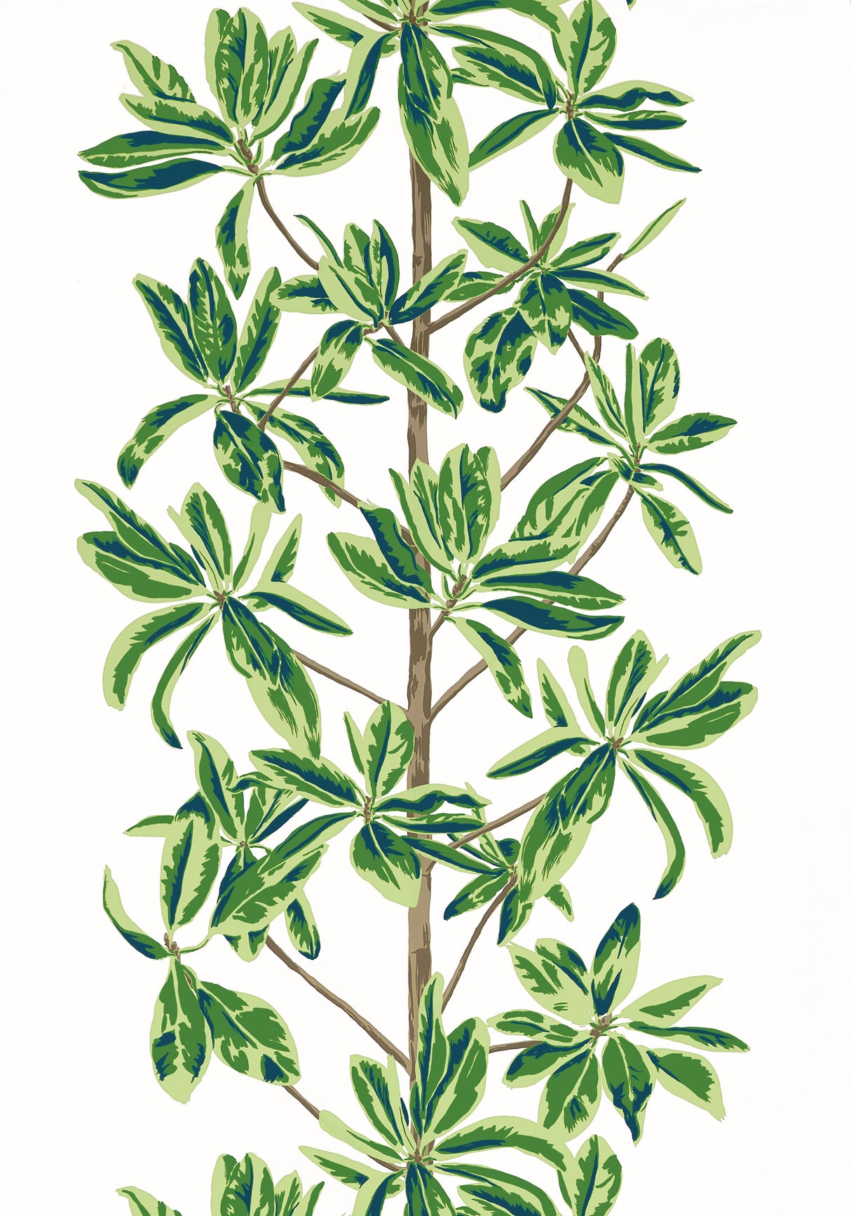 Thibaut T45035 MANGROVE TREE Green and White Wallpaper