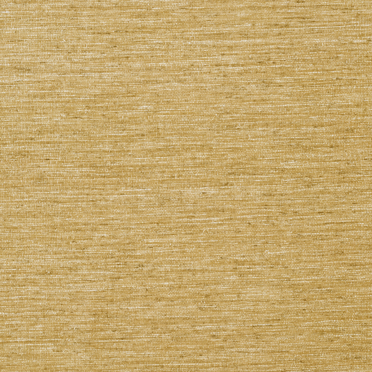 Thibaut T57185 ARROWROOT Tobacco Wallpaper