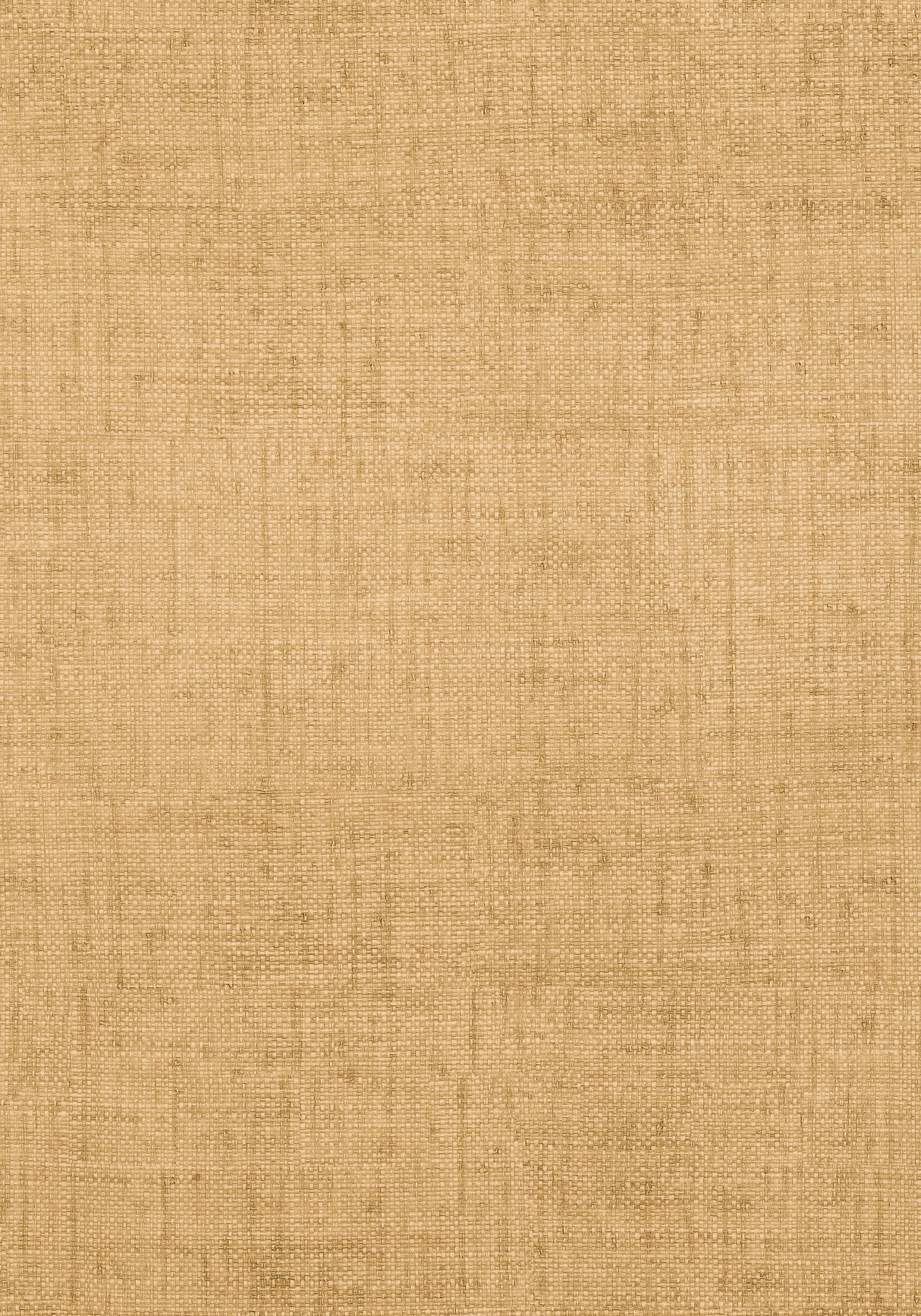 Thibaut T6811 BANKUN RAFFIA Tobacco Wallpaper