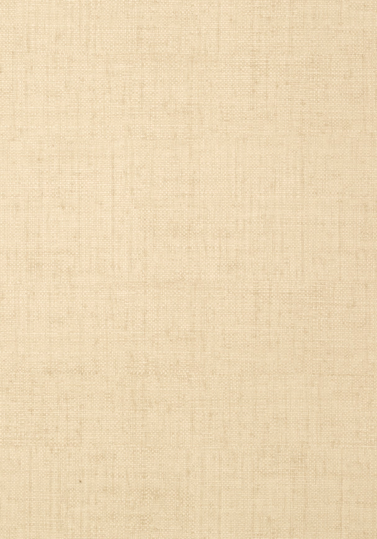 Thibaut T6814 BANKUN RAFFIA Cream Wallpaper