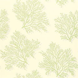 Thibaut T7043 ST. LUCIA Green on Cream Wallpaper