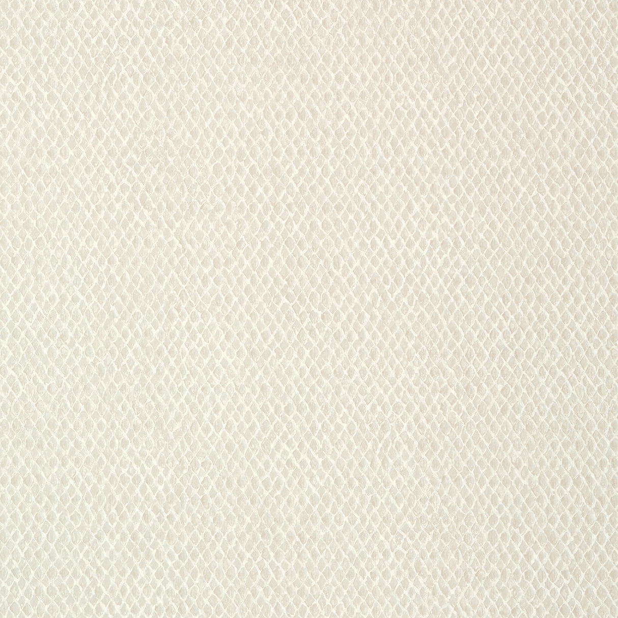 Thibaut T75138 PORTLAND White Wallpaper