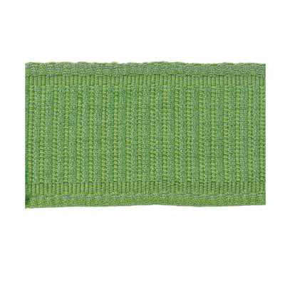 BRUNSCHWIG & FILS T8012107.3.0 COEUR BAND SPRING TRIM - Eade's Wallpaper