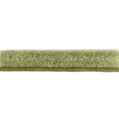 BRUNSCHWIG & FILS T8015508.130.0 BF BF::  TRIM - Eade's Wallpaper