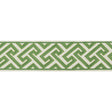 BRUNSCHWIG & FILS T8019100.3.0 SANCHI TAPE KIWI TRIM - Eade's Wallpaper