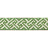 BRUNSCHWIG & FILS T8019100.3.0 SANCHI TAPE KIWI TRIM - Eade's Wallpaper