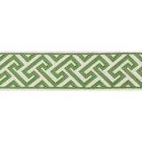 BRUNSCHWIG & FILS T8019100.3.0 SANCHI TAPE KIWI TRIM - Eade's Wallpaper