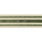 BRUNSCHWIG & FILS T8019101.3.0 CANTON TAPE MOSS TRIM - Eade's Wallpaper