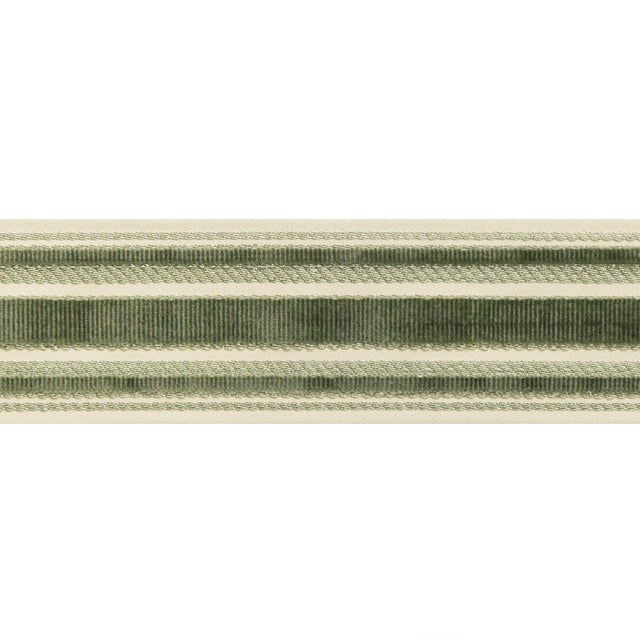 BRUNSCHWIG & FILS T8019101.3.0 CANTON TAPE MOSS TRIM - Eade's Wallpaper