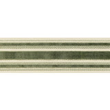 BRUNSCHWIG & FILS T8019101.3.0 CANTON TAPE MOSS TRIM - Eade's Wallpaper