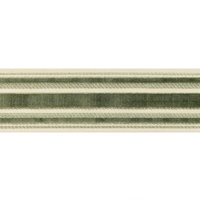 BRUNSCHWIG & FILS T8019101.3.0 CANTON TAPE MOSS TRIM - Eade's Wallpaper