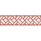 BRUNSCHWIG & FILS T8019103.197.0 TORANA TAPE PEONY TRIM - Eade's Wallpaper