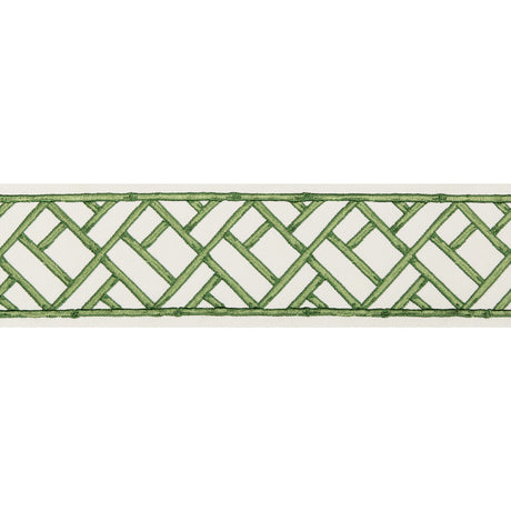 BRUNSCHWIG & FILS T8019103.3.0 TORANA TAPE LEAF TRIM - Eade's Wallpaper