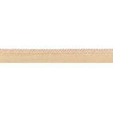 BRUNSCHWIG & FILS T8020105.1116.0 PICARDY CORD CHAMPAGNE TRIM - Eade's Wallpaper