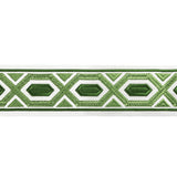 BRUNSCHWIG & FILS T8022100.3.0 AVRIL TAPE LEAF TRIM - Eade's Wallpaper