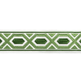 BRUNSCHWIG & FILS T8022100.3.0 AVRIL TAPE LEAF TRIM - Eade's Wallpaper