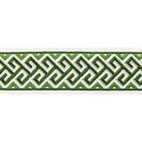 BRUNSCHWIG & FILS T8022101.3.0 AUDETTE TAPE LEAF TRIM - Eade's Wallpaper