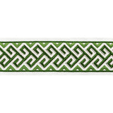 BRUNSCHWIG & FILS T8022101.3.0 AUDETTE TAPE LEAF TRIM - Eade's Wallpaper