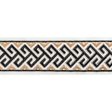 BRUNSCHWIG & FILS T8022101.84.0 AUDETTE TAPE ONYX TRIM - Eade's Wallpaper