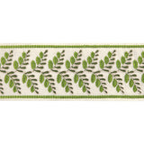 BRUNSCHWIG & FILS T8024100.3.0 FOUGERE BORDER LEAF TRIM - Eade's Wallpaper