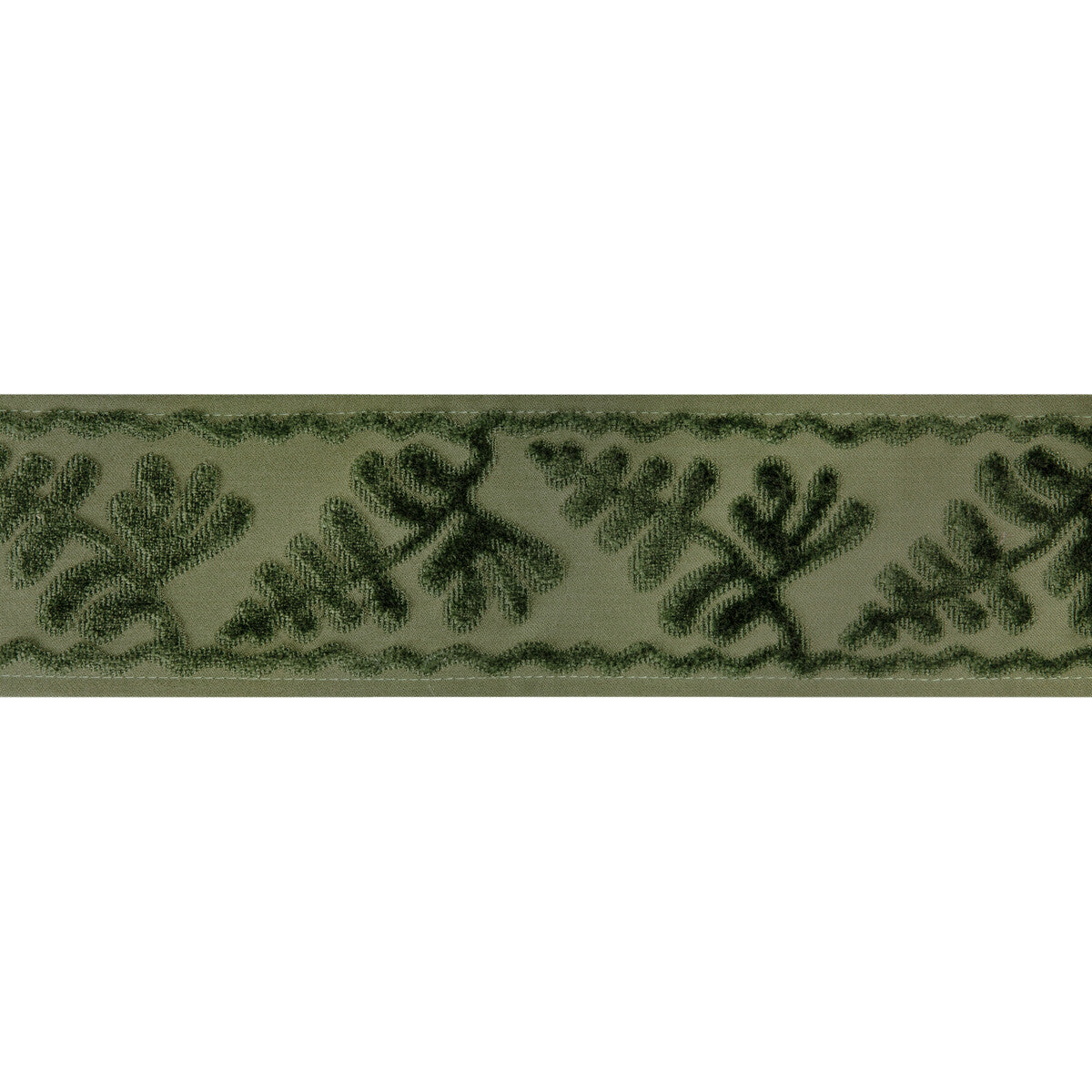 BRUNSCHWIG & FILS T8024101.3.0 CASSIS TAPE PERIDOT TRIM - Eade's Wallpaper