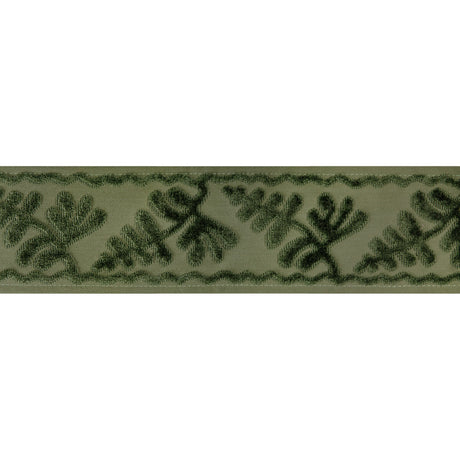 BRUNSCHWIG & FILS T8024101.3.0 CASSIS TAPE PERIDOT TRIM - Eade's Wallpaper
