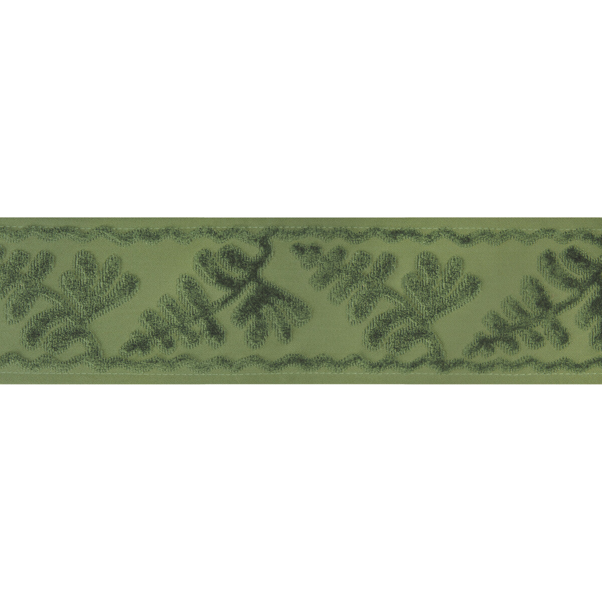 BRUNSCHWIG & FILS T8024101.30.0 CASSIS TAPE SAGE TRIM - Eade's Wallpaper