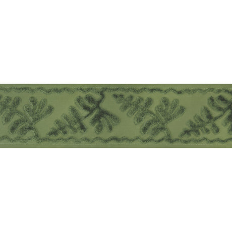 BRUNSCHWIG & FILS T8024101.30.0 CASSIS TAPE SAGE TRIM - Eade's Wallpaper